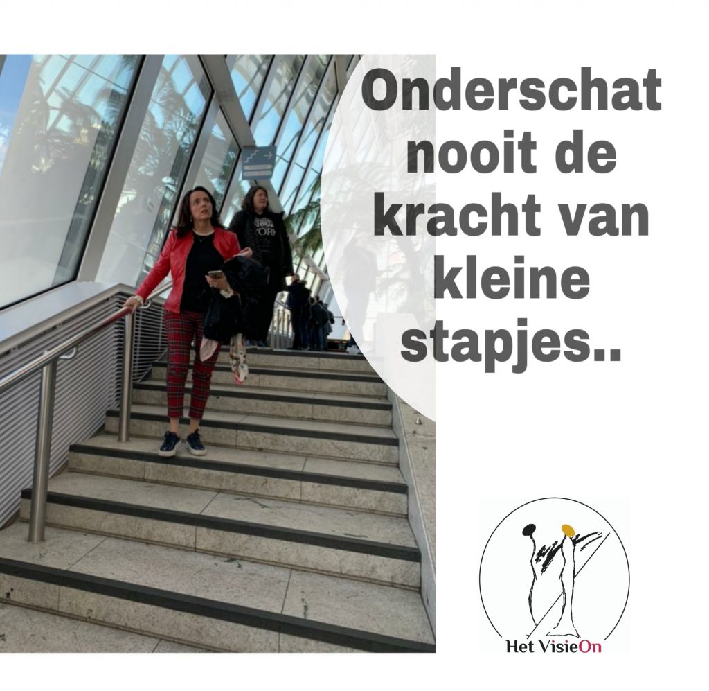 Onderschat Nooit De Kracht Van Kleine Stapjes Het Visieon