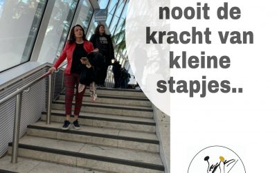 Onderschat nooit de kracht van kleine stapjes..